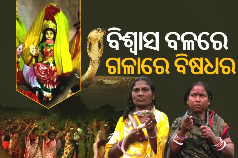 ଅଦ୍ଭୁତ ପରମ୍ପରା; ଗଳାରେ ନାଗସାପ ଗୁଡାଇ ମା'ଙ୍କ ଘଟ ଉତ୍ତୋଳନ