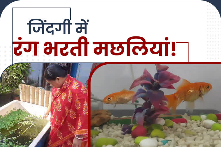 Women are doing business of colorful fish