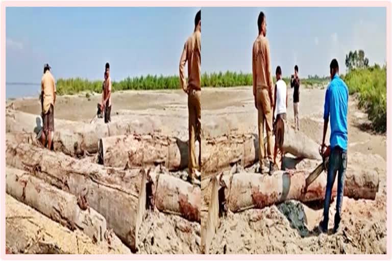 Smuggled wood seized by Saikhowaghat police