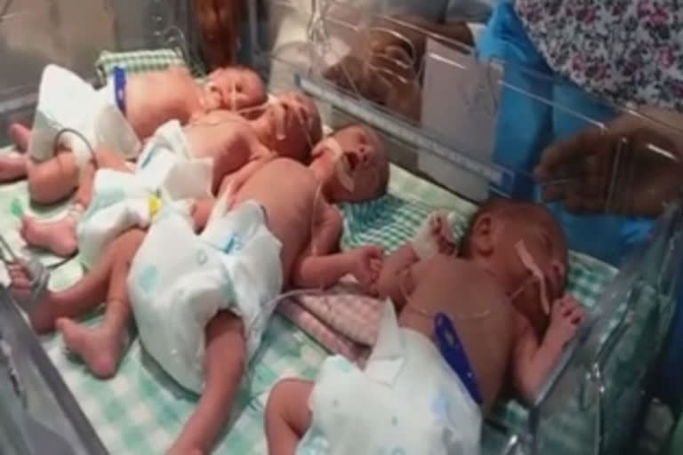 Woman delivers quadruplets  quadruplets in Hyderabad  Woman delivers quadruplets  Hyderabad woman delivers quadruplets  ഒറ്റപ്രസവം  നവജാത ശിശു  Hyderabad  ഡോക്‌ടർ  അമ്മയും കുഞ്ഞുങ്ങളും