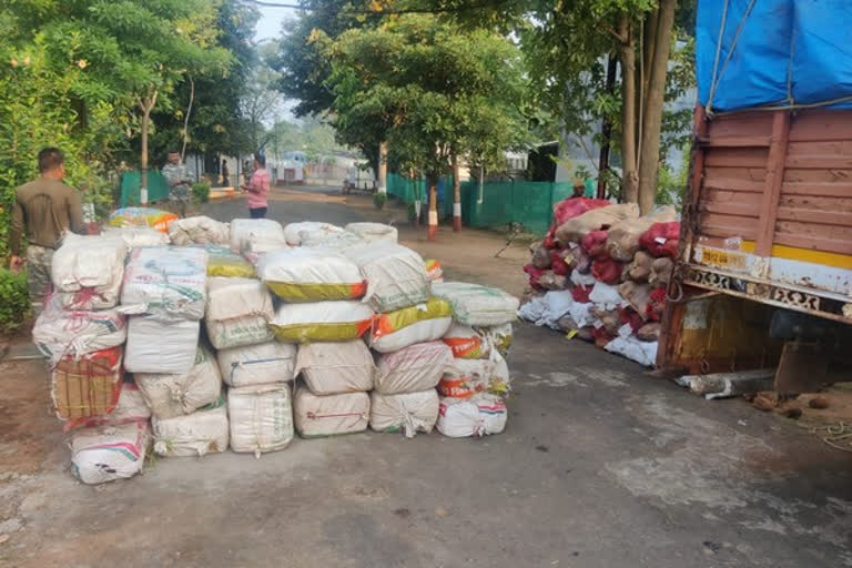 കഞ്ചാവ് പിടികൂടി  ആന്ധ്രാ പ്രദേശില്‍ കഞ്ചാവ് പിടികൂടി  ആന്ധ്രയില്‍ വന്‍ കഞ്ചാവ് വേട്ട  Cannabis seized  Cannabis seized Andra  Cannabis seized Andra pradesh news