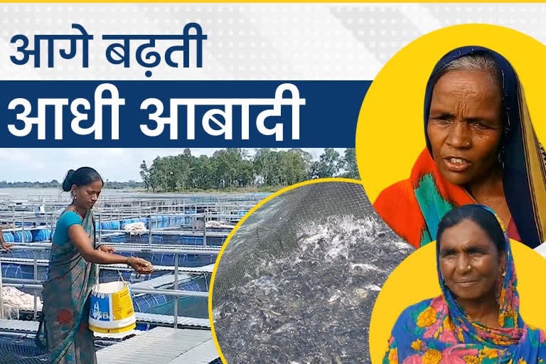 Cage method of fish farming in Hazaribagh