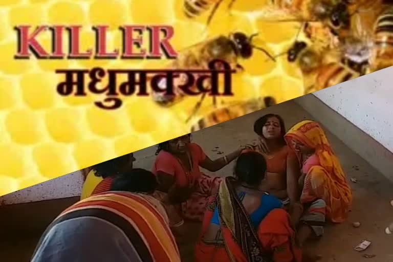 a-farmer-died-due-to-bee-bite-in-hazaribag