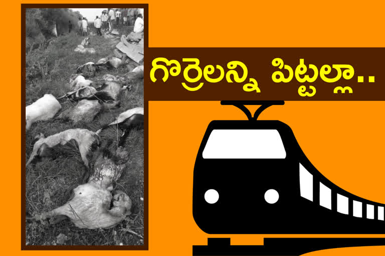 55 goats died due to train colloid at kukunoor