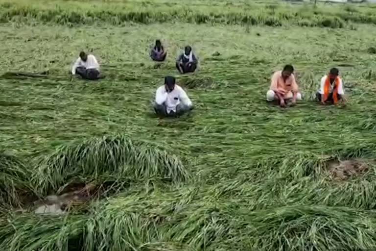 Gwalior Farmers still waiting for compensation