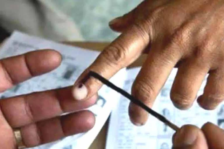 7,97,456 voters to decide fate of 31 candidates