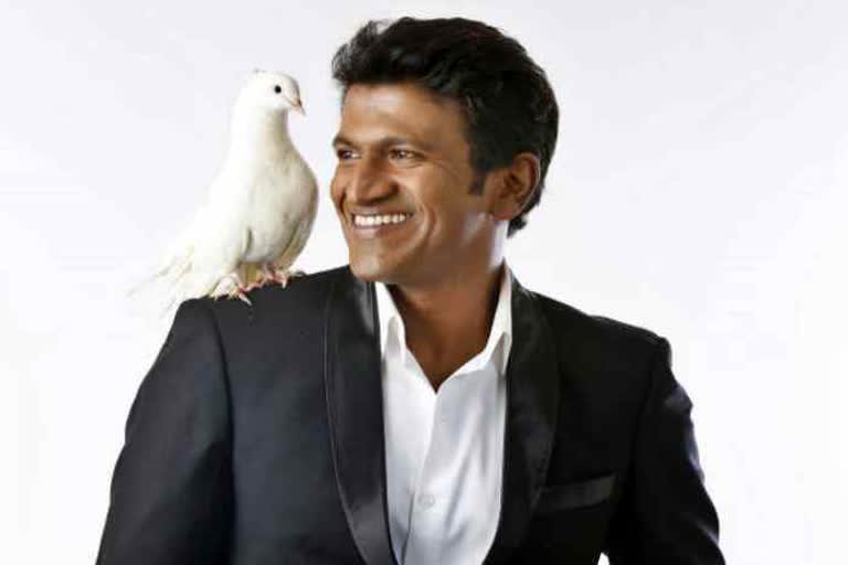 Sandalwood Power star Puneet Rajkumar  Profile