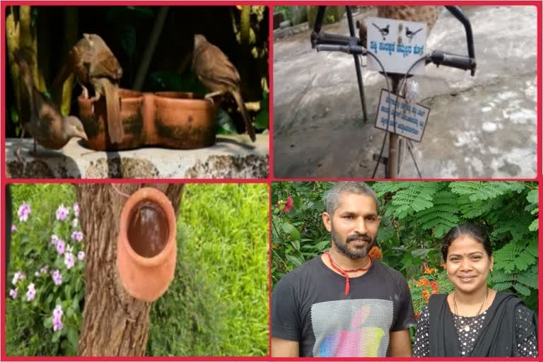 This couple from Karnataka provides safe place for birds