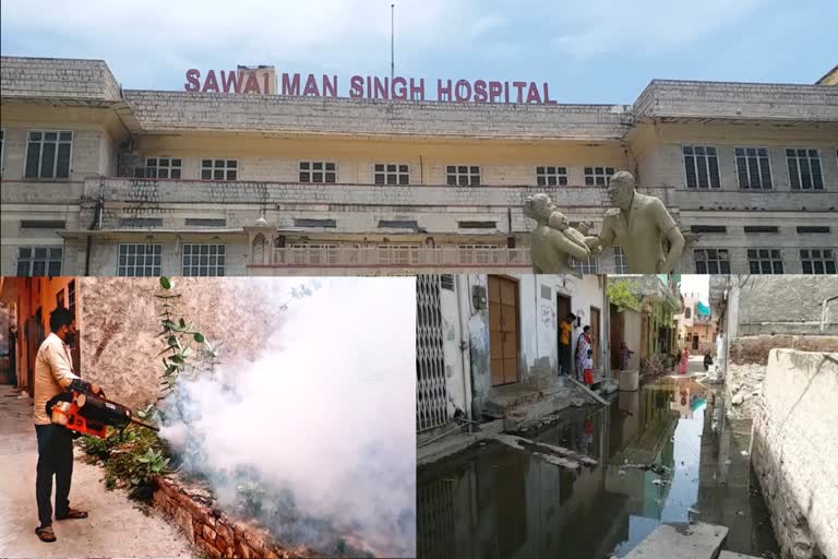 jaipur news, dengue in Jaipur