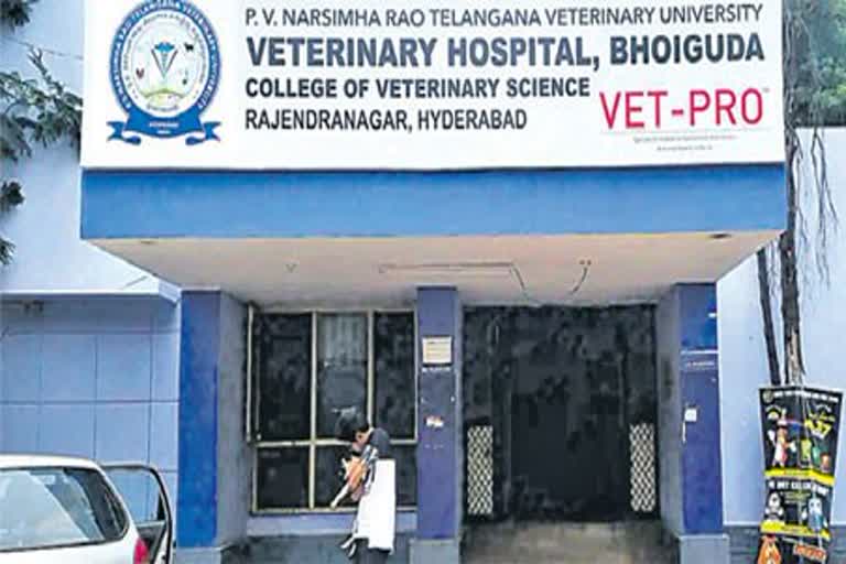 livestock medicine in telangana