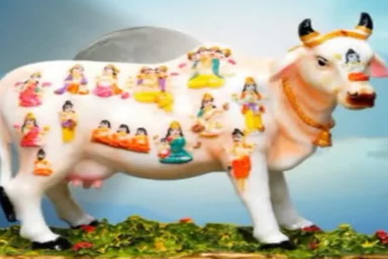 importance of kamdhenu cow