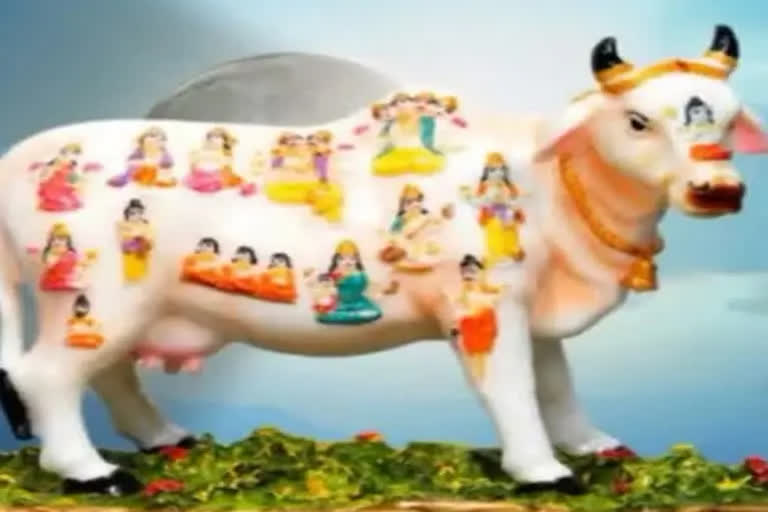 IMPORTANCE OF KAMDHENU COW