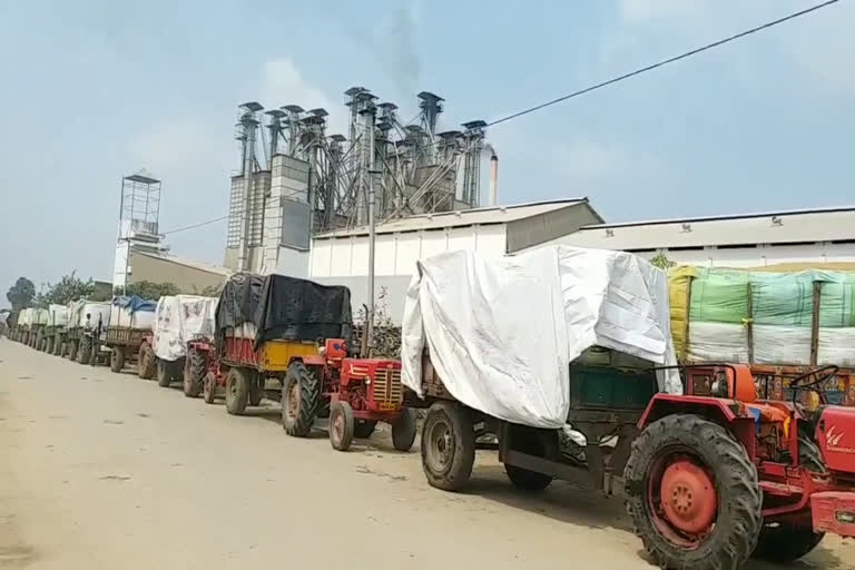 grains collection in nalgonda