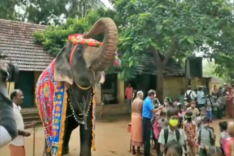 student received a warm welcome, student received a warm welcome by an elephant, sivaganga school reopened, Tamilnadu school reopened news, ಪ್ರಾಥಮಿಕ ಶಾಲೆಗಳು ಆರಂಭ, ತಮಿಳುನಾಡಿನಲ್ಲಿ ಪ್ರಾಥಮಿಕ ಶಾಲೆಗಳು ಆರಂಭ, ಮಕ್ಕಳನ್ನು ಬರ ಮಾಡಿಕೊಂಡ ಆನೆ, ಶಾಲಾ ಮಕ್ಕಳನ್ನು ಬರ ಮಾಡಕೊಂಡ ಆನೆ,