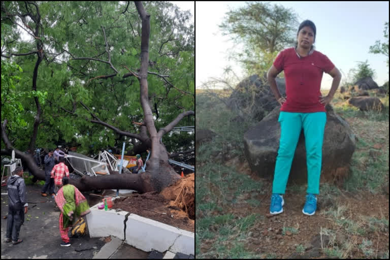 Woman constable dies as tree falls on her in Chennai
