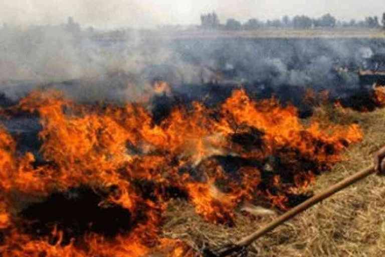 stubble burning fine kurukshetra