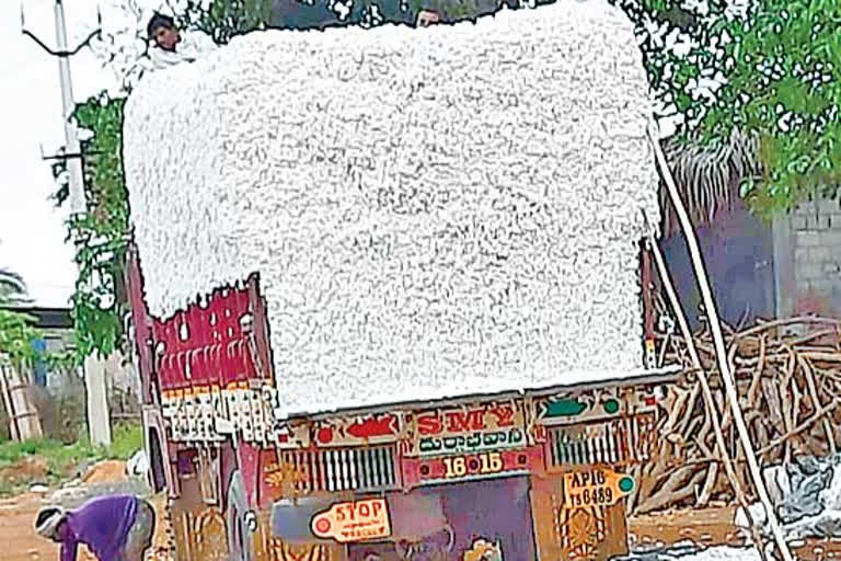 cotton price has hugely increased