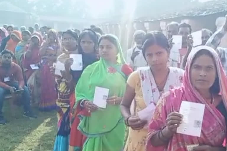 Polling for sixth phase of Panchayat elections concluded in East Champaran