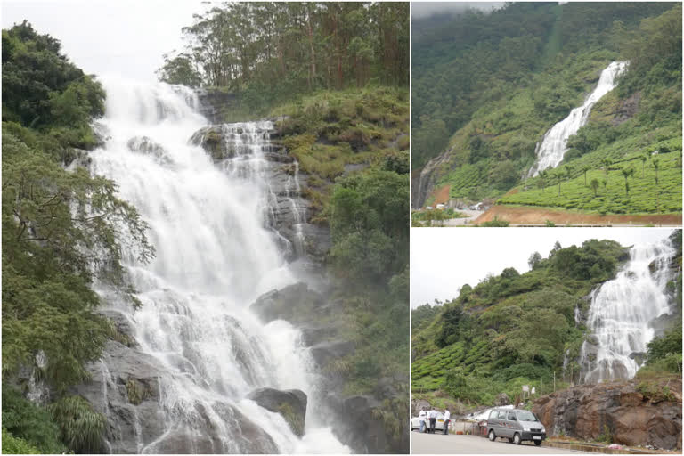 periyakanal power house water falls  periyakanal power house water falls without tourists  periyakanal  periyakanal water falls  power house water falls  സഞ്ചാരികളില്ലാതെ പെരിയകനാൽ വെള്ളച്ചാട്ടം  പെരിയകനാൽ വെള്ളച്ചാട്ടം  പെരിയകനാൽ പവർ ഹൗസ് വെള്ളച്ചാട്ടം  ഇടുക്കി ടൂറിസം  ഇടുക്കി വിനോദ സഞ്ചാര കേന്ദ്രം