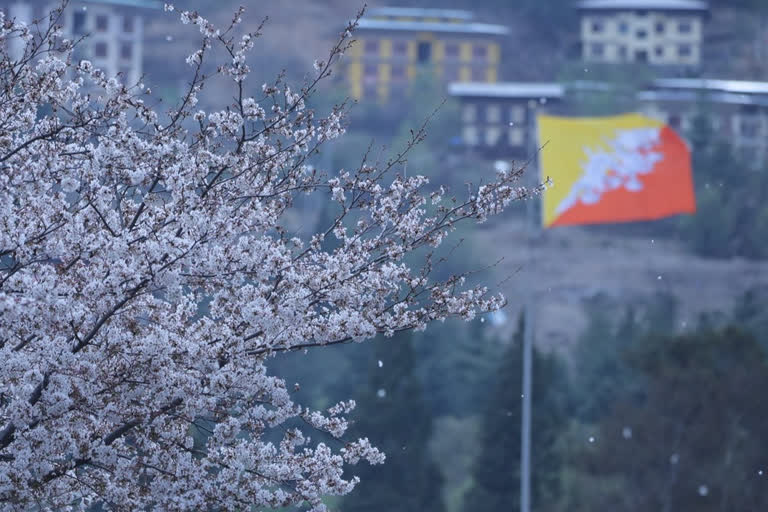 India-Bhutan