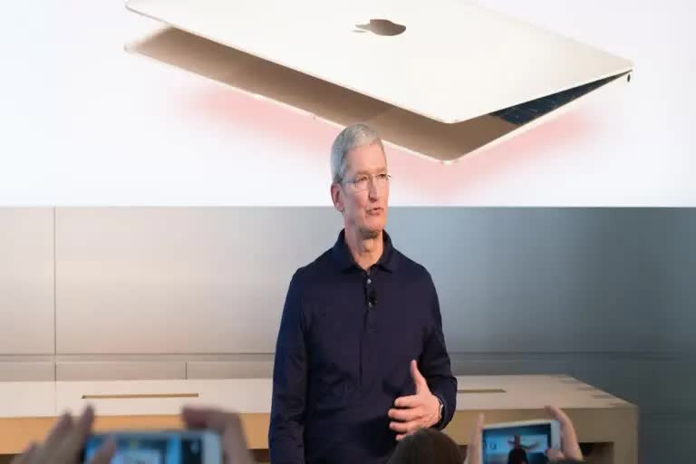 tim cook