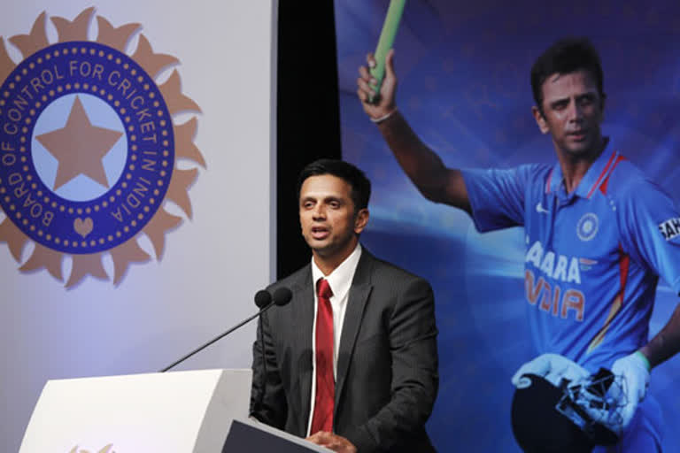 rahul dravid