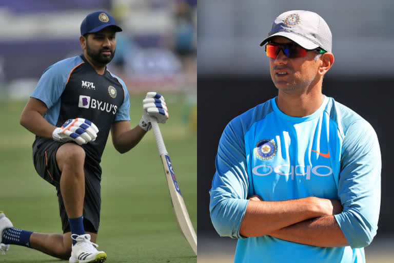 Rohit Sharma  Rahul Dravid  രോഹിത് ശര്‍മ  രാഹുല്‍ ദ്രാവിഡ്  ഇന്ത്യന്‍ ക്രിക്കറ്റ് ടീം