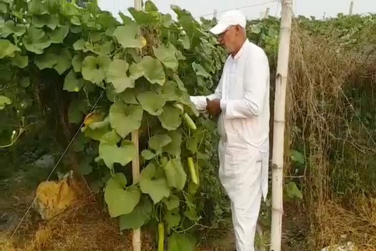 Contract Farming Haryana