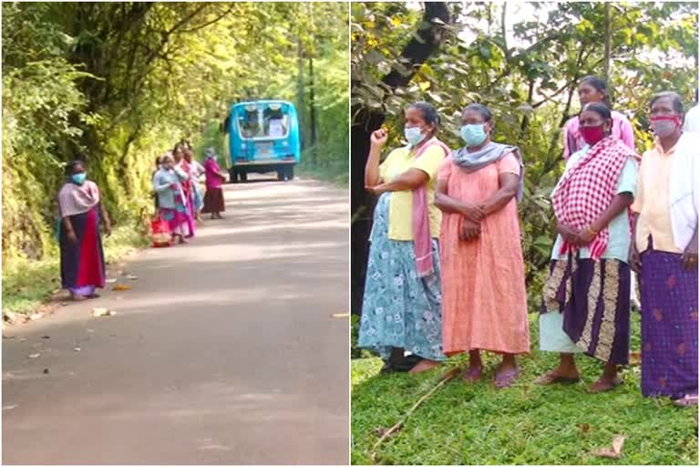 കുടിയേറി അരനൂറ്റാണ്ട് പിന്നിട്ടിട്ടും പട്ടയമില്ല  പട്ടയ പ്രശ്‌നം  ദുരിതത്തിലായി 500ഓളം കുടുംബങ്ങൾ  പട്ടയ പ്രശ്‌നം വാർത്ത  പട്ടയ പ്രശ്‌നം  ദുരിതത്തിൽ 500 കുടുംബങ്ങൾ  Kuttanpuzha panchayath  Kuttanpuzha panchayath news  Kuttanpuzha panchayath people  Kuttanpuzha panchayath people in need of deed title  deed title