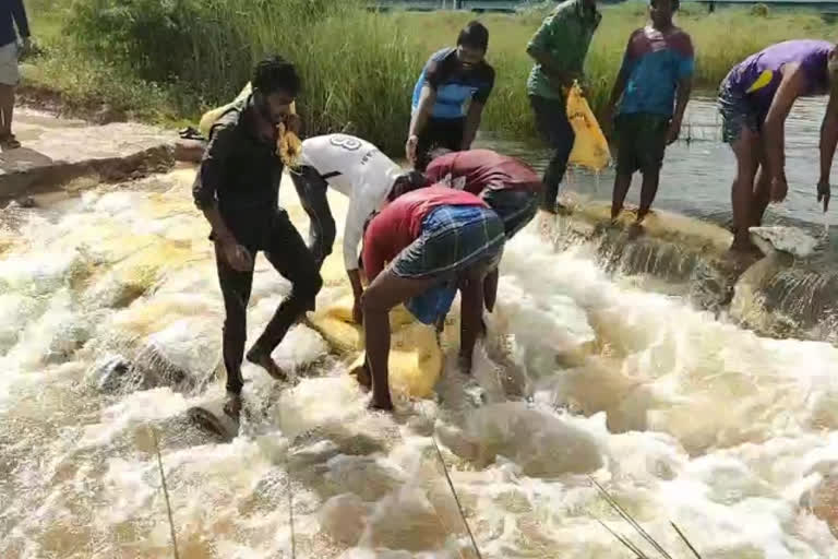 வெள்ளத்தில் அடித்துச் செல்லப்பட்ட தரைப்பாலங்கள்