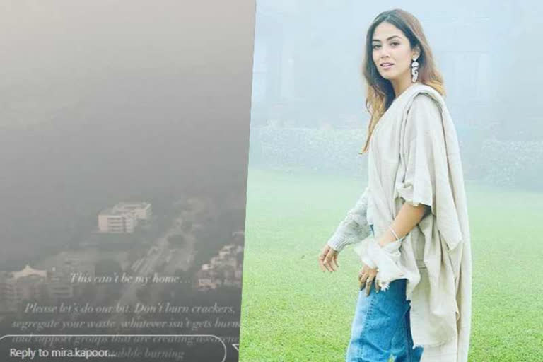 mira kapoor on delhi poor air quality