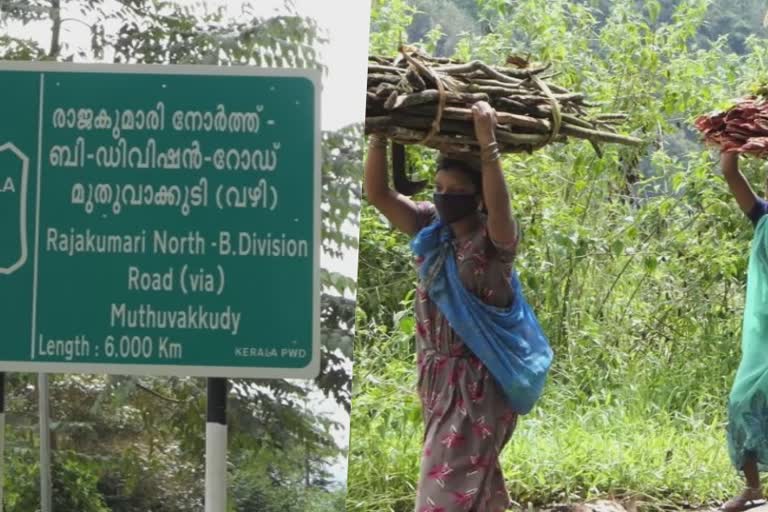 manjakkuzhi muthuvakkudi  muthuvakkudi adivasi colony  covid 19  കൊവിഡ്  മഞ്ഞക്കുഴി മുതുവാക്കുടി  മുതുവാക്കുടി ആദിവാസി കോളനി