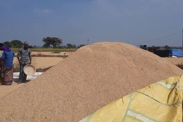 paddy procurement in telangana, farmers problems