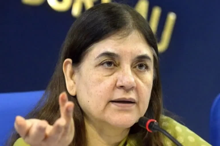 BJPs-sultanpur-MP-Maneka-Gandhi-urges-centre-to-cut-down-prices-of-lpg-cylinders