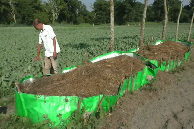 earning-money-through-farming