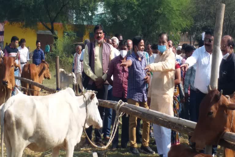 go sambardhana ustava celebrated in boudha