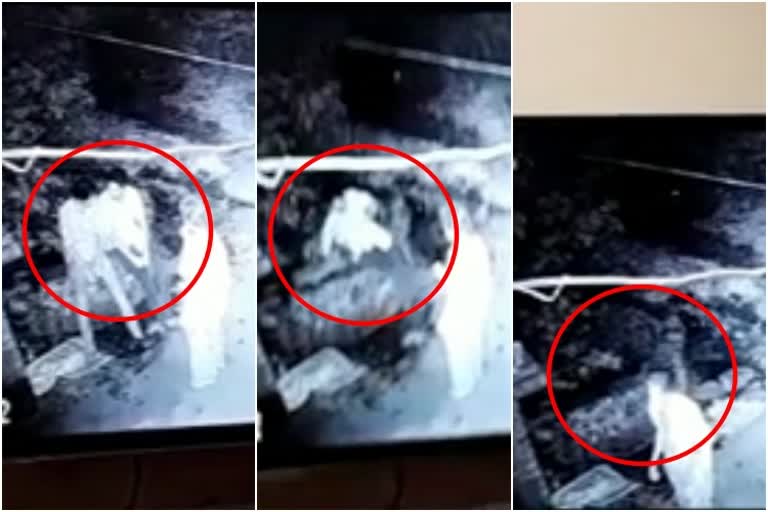 2-brothers-die-after-falling-into-well-in-odishas-sambalpur-cctv-footage-capture