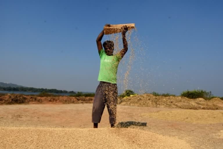 10 Lakh Farmers Benefitted From Paddy Procurement