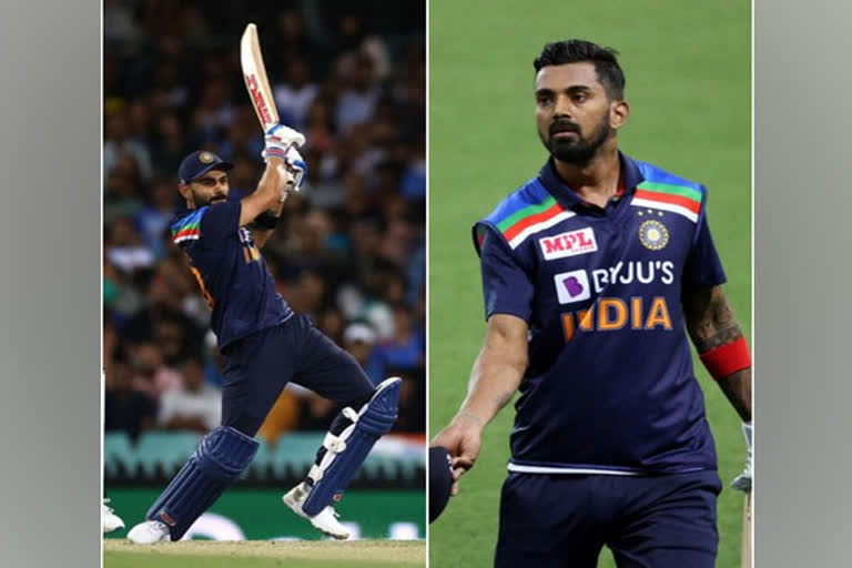 virat kohli, kl rahul