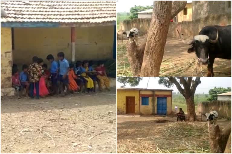 Chinchli village Govt school