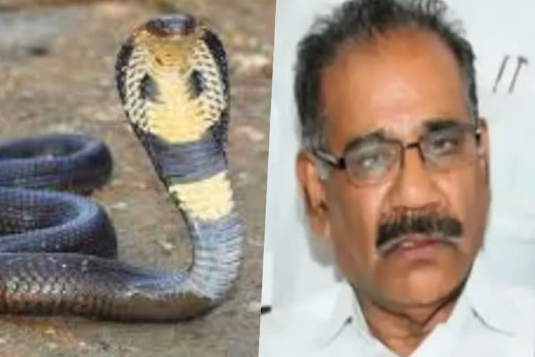 Illegal snake sale  snake sale  snake  പാമ്പ്  എ.കെ ശശീന്ദ്രന്‍  പാമ്പുകളെ കൈവശംവച്ച് വില്‍പ്പന  kerala snake  കേരളം