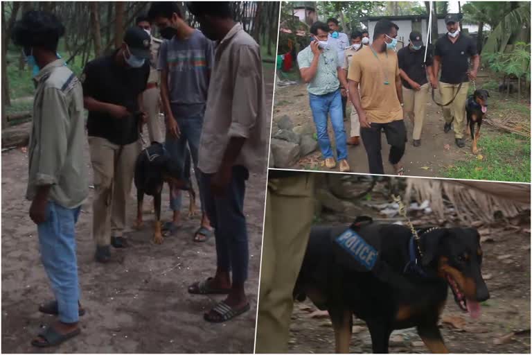 police dog Rana  dog smells drugs  kodungallur police  പൊലീസ് നായ  ഓപ്പറേഷൻ ക്രിസ്റ്റൽ  റാണ പൊലീസ് നായ  റാണ പൊലീസ് നായ മയക്കുമരുന്ന്