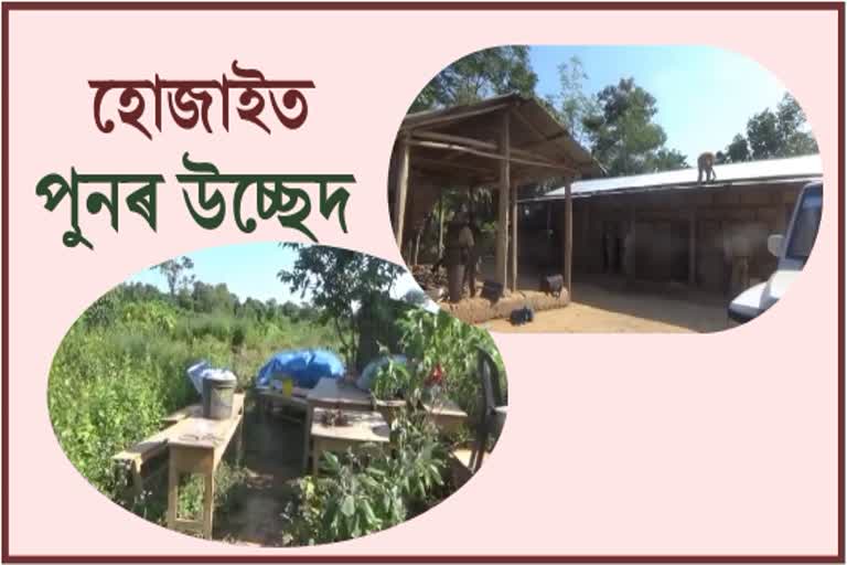 Eviction at lumding forest
