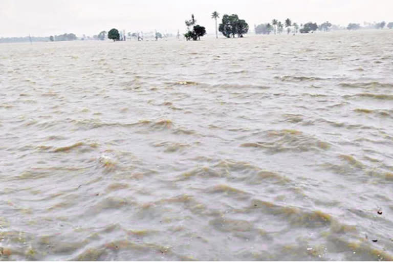 heavy rains in nellore and chittor districts