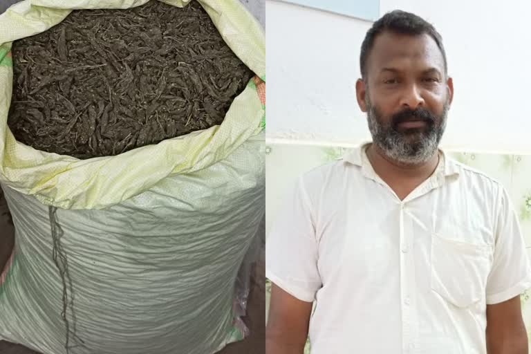 ganja seized news  ganja seized  kasaragod ganja seized news  excise seized 43 kg ganja  excise seized 43 kg ganja news  43 kg ganja seized  43 kg ganja seized news  excise ganja kasaragod  excise ganja kasaragod news  കഞ്ചാവ് പിടികൂടി വാര്‍ത്ത  കഞ്ചാവ് പിടികൂടി  43 കിലോ കഞ്ചാവ് പിടികൂടി വാര്‍ത്ത  43 കിലോ കഞ്ചാവ് പിടികൂടി  എക്‌സൈസ് കഞ്ചാവ് പിടികൂടി വാര്‍ത്ത  എക്‌സൈസ് കഞ്ചാവ് പിടികൂടി  15 ചാക്കുകള്‍ 43 കിലോ കഞ്ചാവ് പിടികൂടി വാര്‍ത്ത  15 ചാക്കുകള്‍ 43 കിലോ കഞ്ചാവ് പിടികൂടി  കഞ്ചാവ് യുവാവ് അറസ്റ്റ് വാര്‍ത്ത  കഞ്ചാവ് യുവാവ് അറസ്റ്റ്  കാസര്‍കോട് കഞ്ചാവ് പിടികൂടി വാര്‍ത്ത  കാസര്‍കോട് കഞ്ചാവ് പിടികൂടി