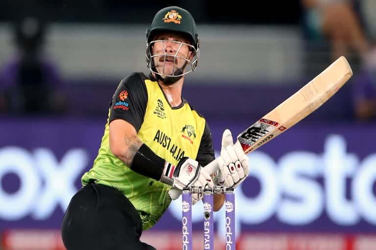 mathew wade on pak vs aus semifinal T20 world cup 2021