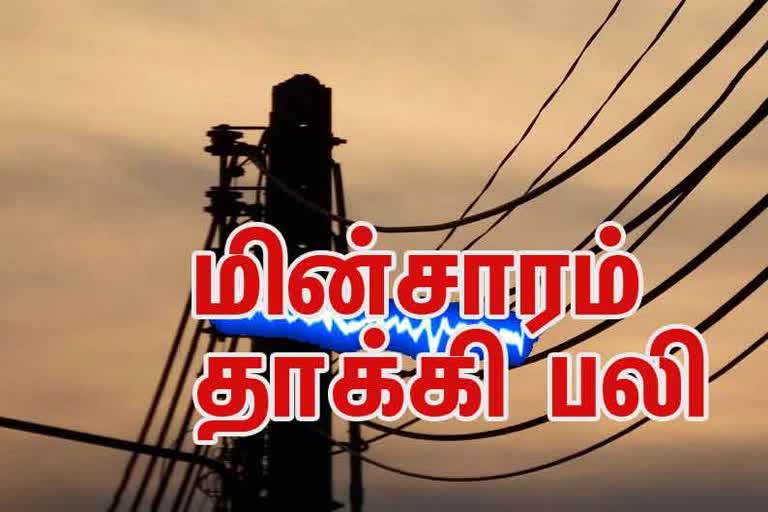 மின்சாரம் தாக்கி இதுவரை 5 பேர் பலி