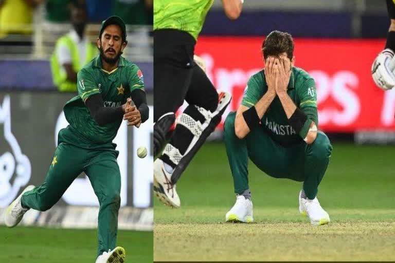 pakistan cricket backs hasan ali after dropping catch of mathew wade in T20 world cup semi final against Australia