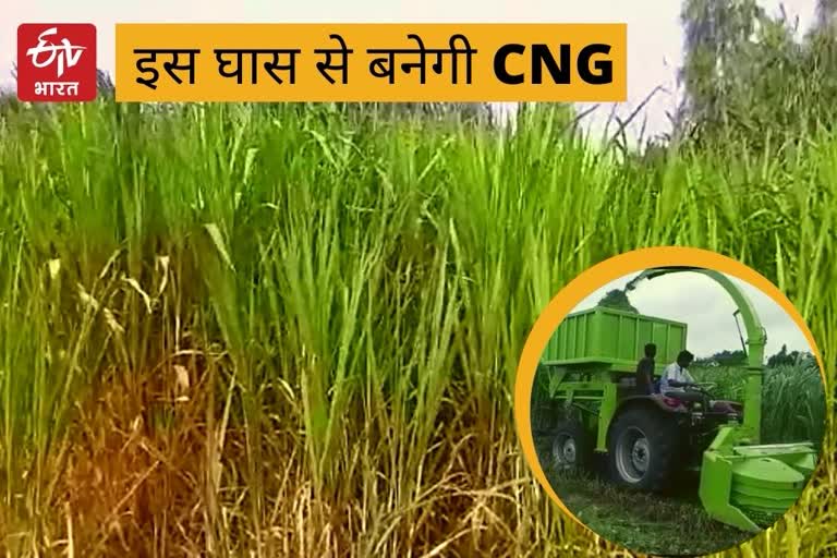 कोटा में घास से बनेगी BIO-CNG