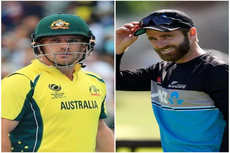 Aaron Finch, Kane Williamson